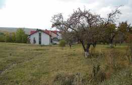 Teren pentru casa in Faget!