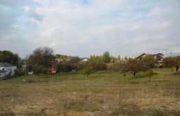 Teren pentru casa in Faget!