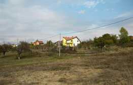 Teren pentru casa in Faget!