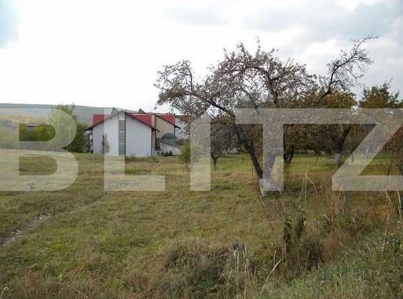 Teren de vânzare Făget - 22796TV | BLITZ Cluj-Napoca | Poza1