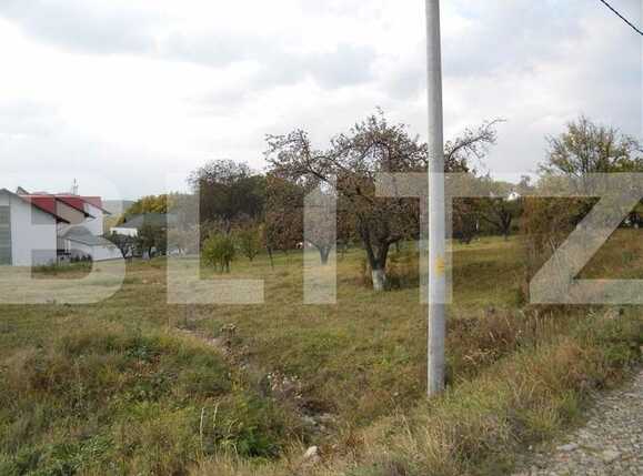 Teren de vânzare Făget - 22796TV | BLITZ Cluj-Napoca | Poza2