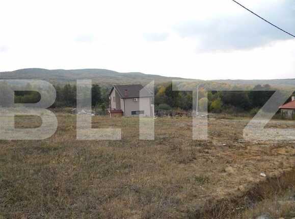 Teren de vânzare Făget - 22796TV | BLITZ Cluj-Napoca | Poza8