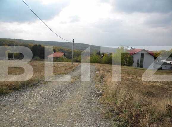 Teren de vânzare Făget - 22796TV | BLITZ Cluj-Napoca | Poza5