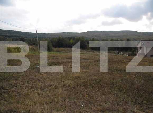 Teren de vânzare Făget - 22796TV | BLITZ Cluj-Napoca | Poza7