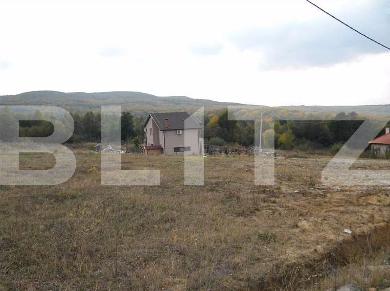 Teren de vânzare Făget - 22796TV | BLITZ Cluj-Napoca | Poza8