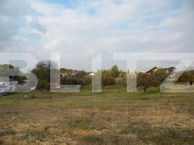 Teren de vânzare Făget - 22796TV | BLITZ Cluj-Napoca | Poza9