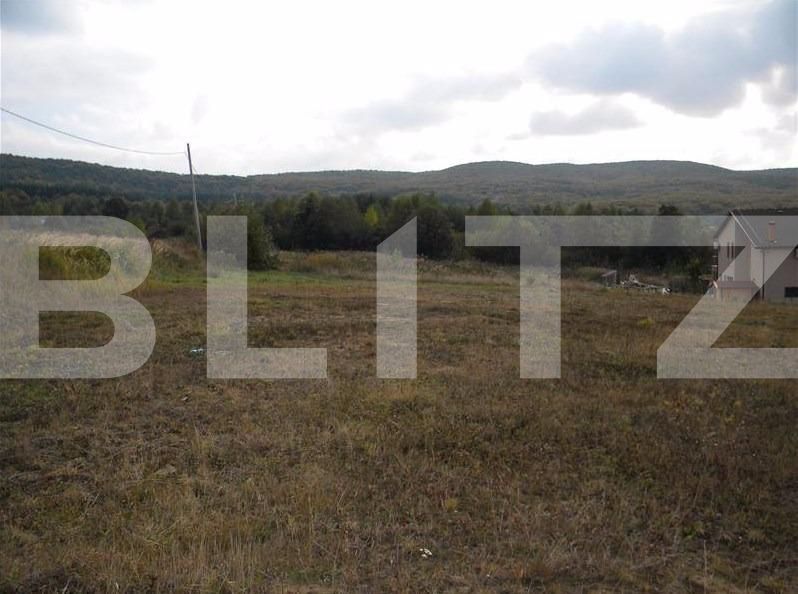 Teren de vânzare Făget - 22796TV | BLITZ Cluj-Napoca | Poza7