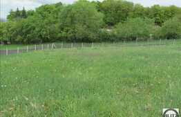 Teren de vanzare 1186 mp, front 39,6 ml, necesita PUZ