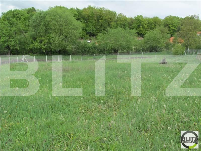 Teren de vânzare Făget - 22797TV | BLITZ Cluj-Napoca | Poza6