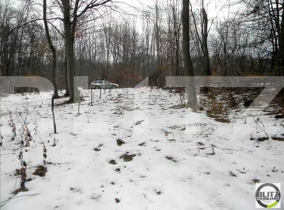 Teren de vânzare Făget - 22798TV | BLITZ Cluj-Napoca | Poza6