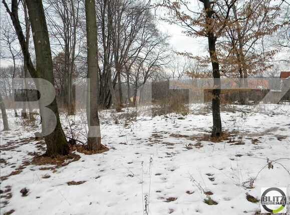 Teren de vânzare Făget - 22798TV | BLITZ Cluj-Napoca | Poza3