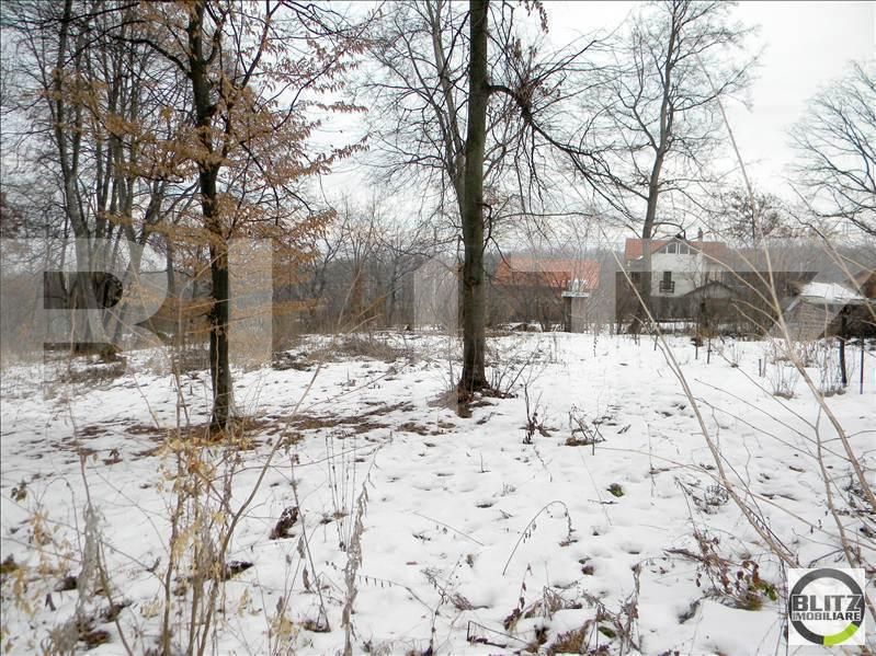 Teren de vânzare Făget - 22798TV | BLITZ Cluj-Napoca | Poza2