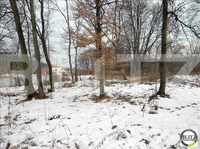 Teren de vânzare Făget - 22798TV | BLITZ Cluj-Napoca | Poza5