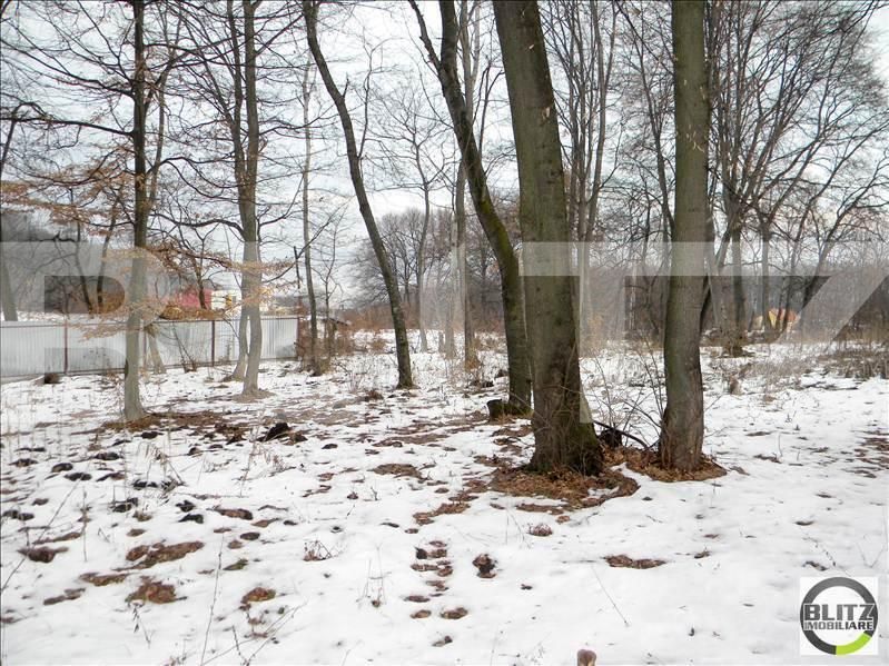 Teren de vânzare Făget - 22798TV | BLITZ Cluj-Napoca | Poza4