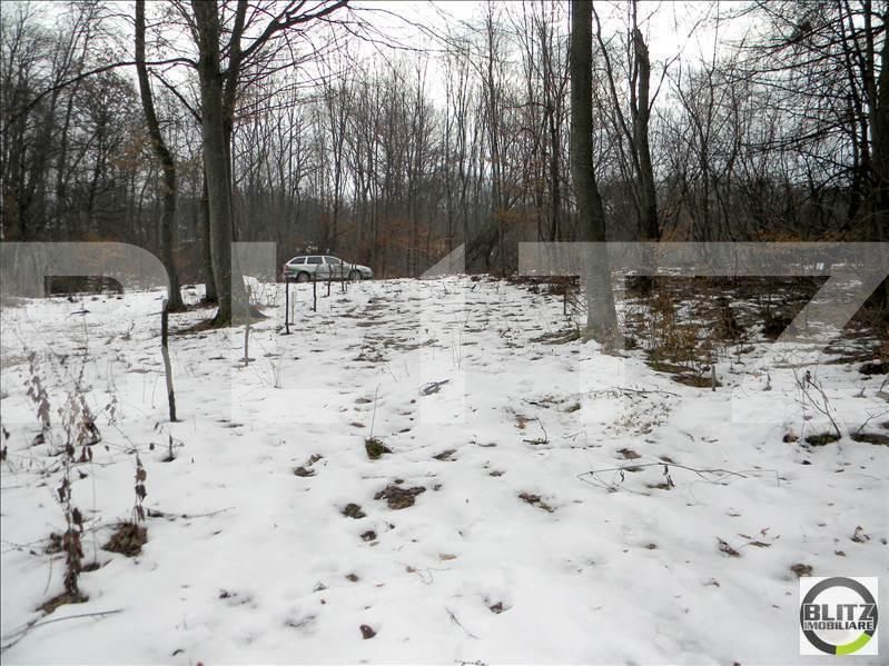 Teren de vânzare Făget - 22798TV | BLITZ Cluj-Napoca | Poza6