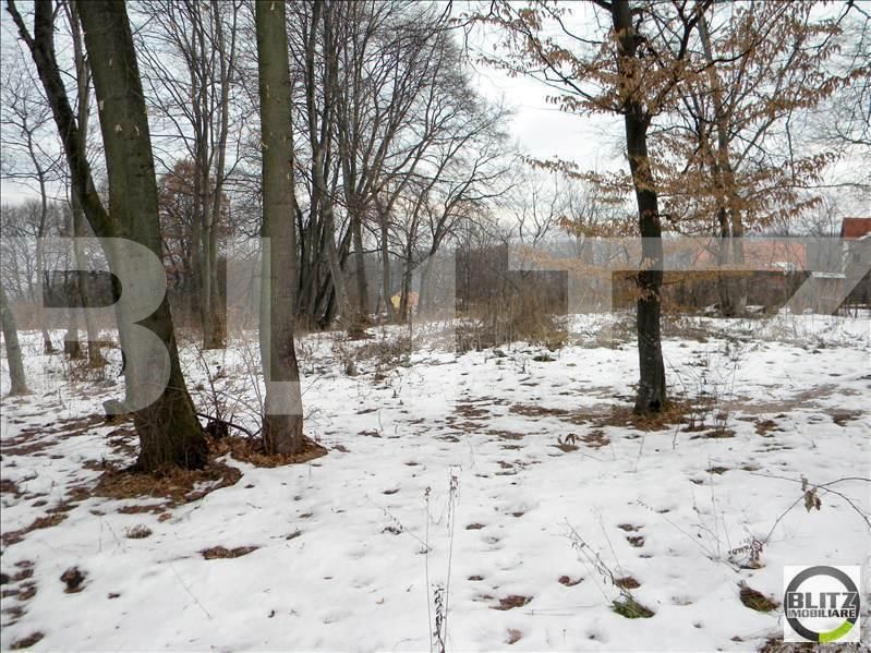 Teren de vânzare Făget - 22798TV | BLITZ Cluj-Napoca | Poza3