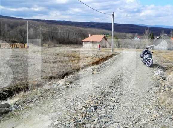 Teren de vânzare Făget - 22799TV | BLITZ Cluj-Napoca | Poza1