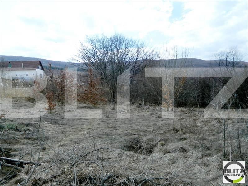 Teren de vânzare Făget - 22800TV | BLITZ Cluj-Napoca | Poza4