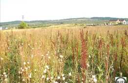 Teren de vanzare 500 mp, front la strada 20.5 ml