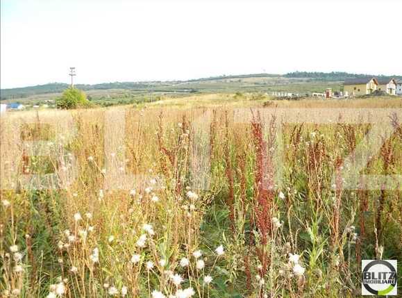Teren de vânzare Făget - 22802TV | BLITZ Cluj-Napoca | Poza2