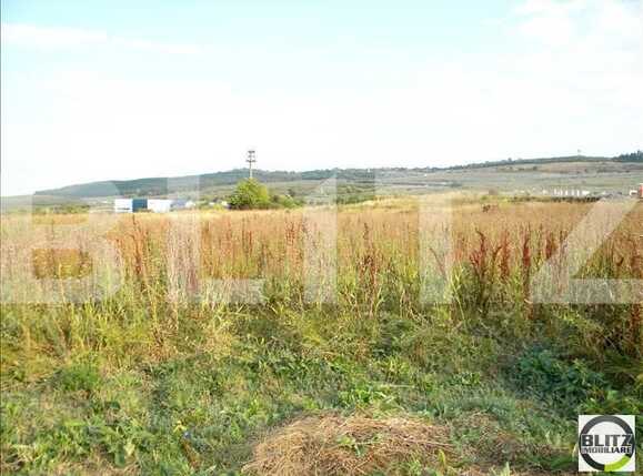 Teren de vânzare Făget - 22802TV | BLITZ Cluj-Napoca | Poza1