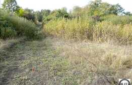 Teren cu 925 mp si front de 30 m in zona plina de verdeata