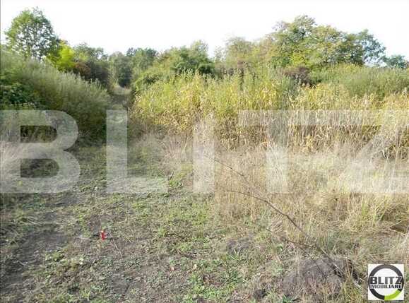 Teren de vânzare Făget - 22803TV | BLITZ Cluj-Napoca | Poza4