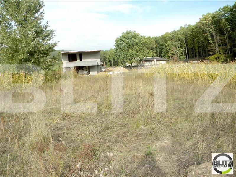 Teren de vânzare Făget - 22803TV | BLITZ Cluj-Napoca | Poza3