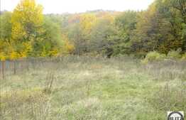 Teren de vanzare 1300 mp, langa padure, zona linistita