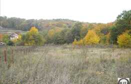 Teren de vanzare 1300 mp, langa padure, zona linistita