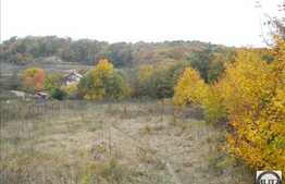 Teren de vanzare 1300 mp, langa padure, zona linistita