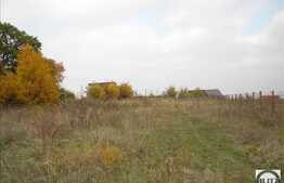 Teren de vanzare 1300 mp, langa padure, zona linistita