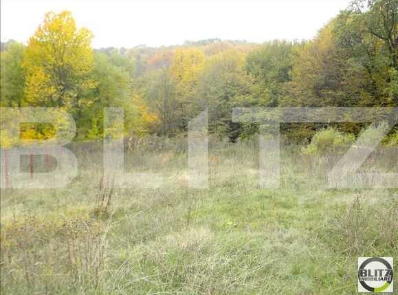 Teren de vânzare Făget - 22804TV | BLITZ Cluj-Napoca | Poza4