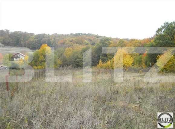 Teren de vânzare Făget - 22804TV | BLITZ Cluj-Napoca | Poza2