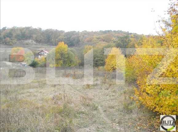 Teren de vânzare Făget - 22804TV | BLITZ Cluj-Napoca | Poza5