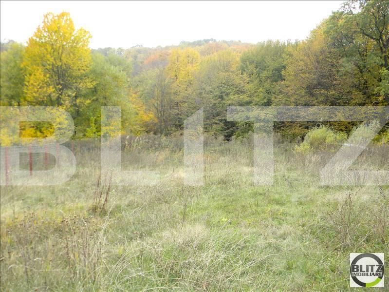 Teren de vânzare Făget - 22804TV | BLITZ Cluj-Napoca | Poza4