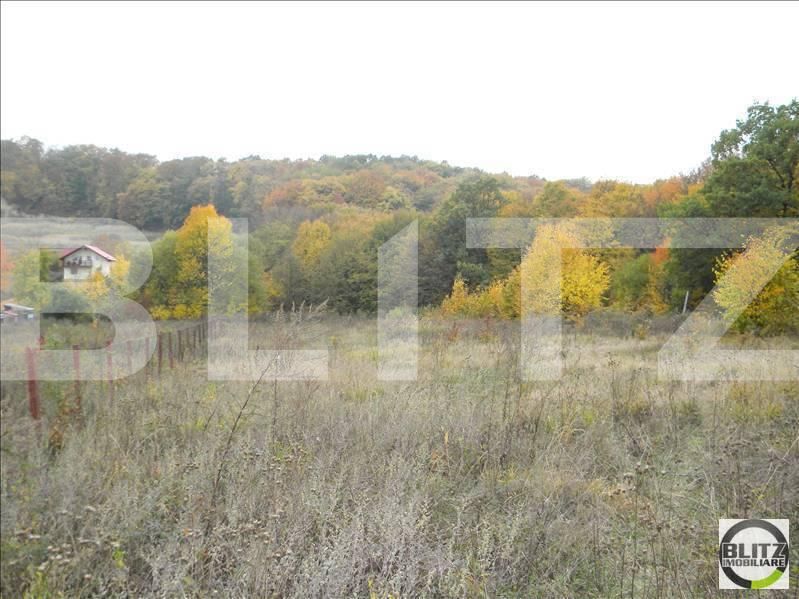 Teren de vânzare Făget - 22804TV | BLITZ Cluj-Napoca | Poza2