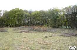 Teren de vanzare 6341 mp, front 62 ml