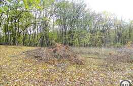 Teren de vanzare 6341 mp, front 62 ml