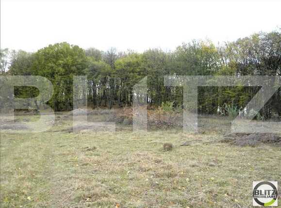 Teren de vânzare Făget - 22805TV | BLITZ Cluj-Napoca | Poza2