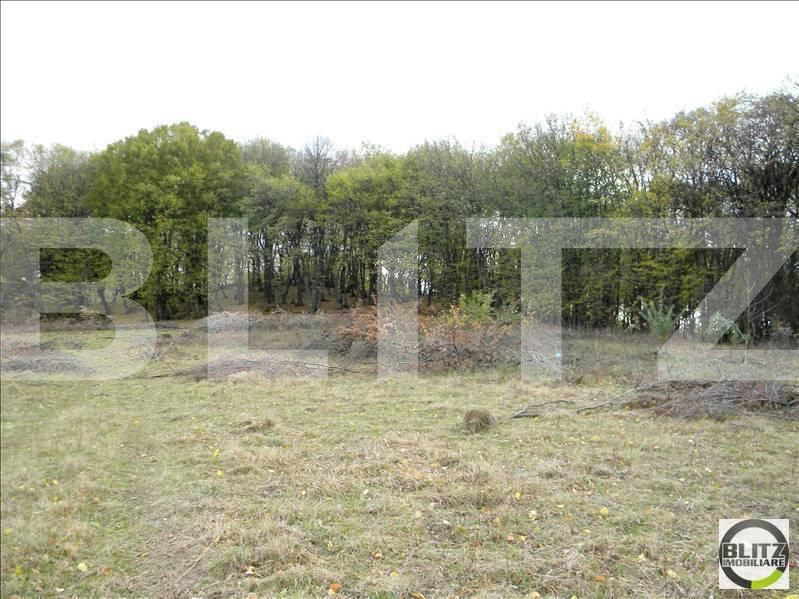 Teren de vânzare Făget - 22805TV | BLITZ Cluj-Napoca | Poza2