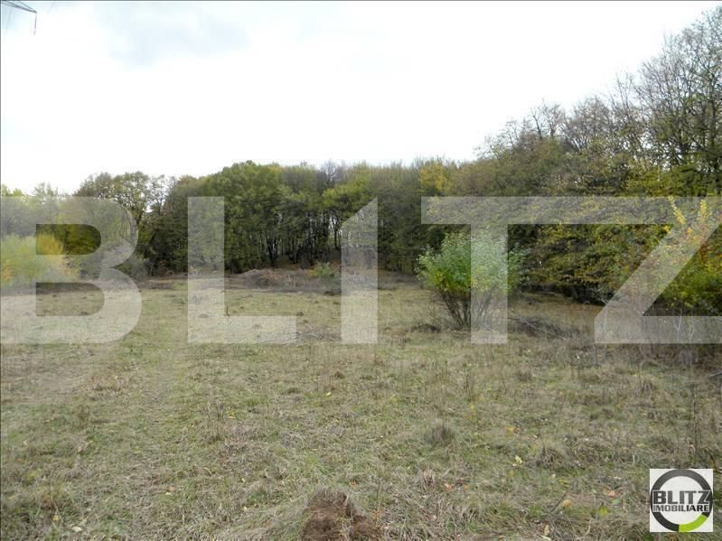 Teren de vânzare Făget - 22805TV | BLITZ Cluj-Napoca | Poza3