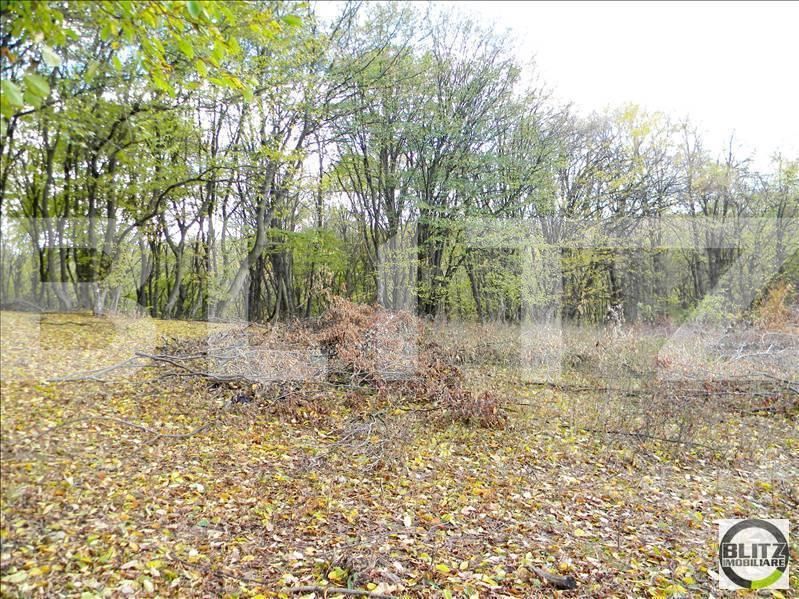 Teren de vânzare Făget - 22805TV | BLITZ Cluj-Napoca | Poza4