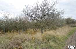 Teren de vanzare, 1400 mp, utilitati disponibile la 100 m