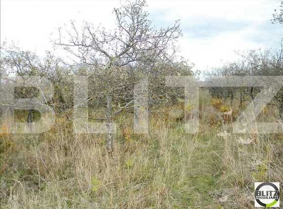 Teren de vânzare Făget - 22806TV | BLITZ Cluj-Napoca | Poza3