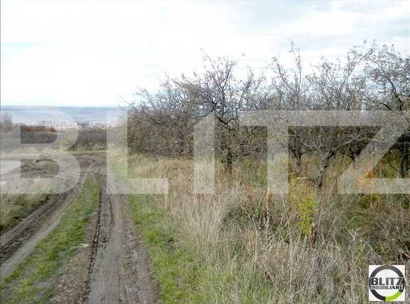 Teren de vânzare Făget - 22806TV | BLITZ Cluj-Napoca | Poza1