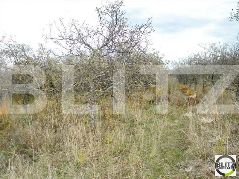 Teren de vânzare Făget - 22806TV | BLITZ Cluj-Napoca | Poza3