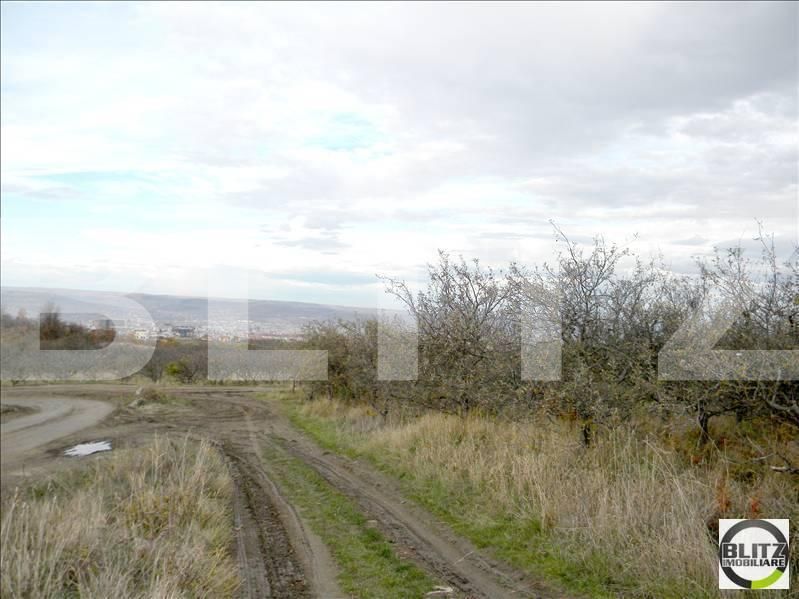 Teren de vânzare Făget - 22806TV | BLITZ Cluj-Napoca | Poza4