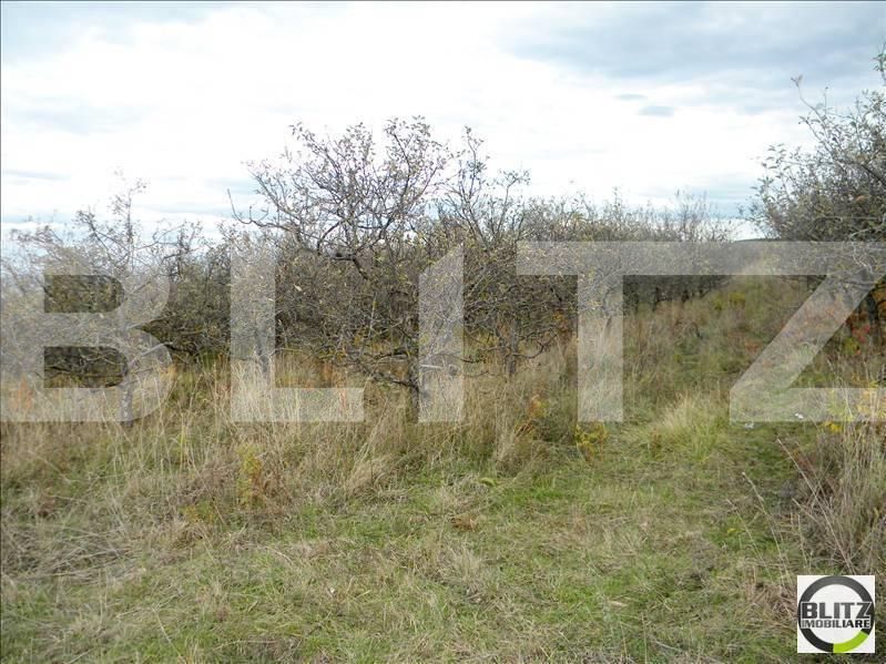 Teren de vânzare Făget - 22806TV | BLITZ Cluj-Napoca | Poza2