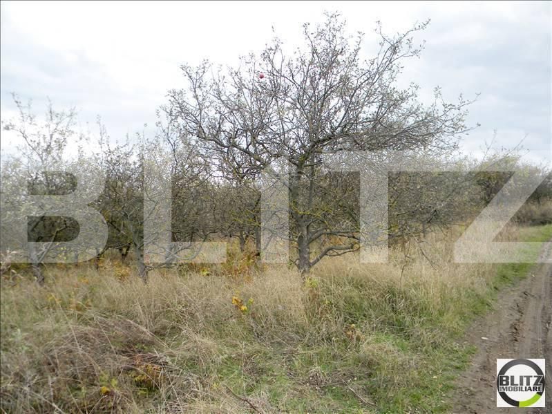 Teren de vânzare Făget - 22806TV | BLITZ Cluj-Napoca | Poza5